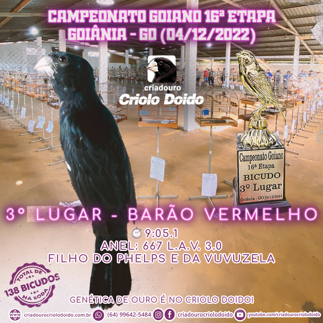 Notícias do Criadouro